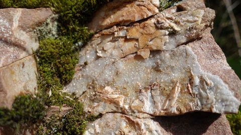 Schätze am Wegrand bei den beiden GeoTouren, Bild: © Dr. Andreas Megerle