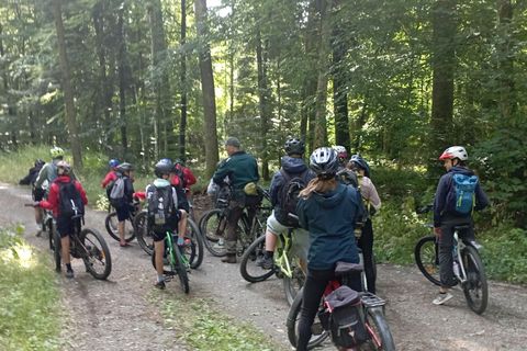 Mit dem Förster im Wald