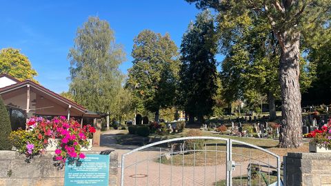 Friedhof Dornstetten 