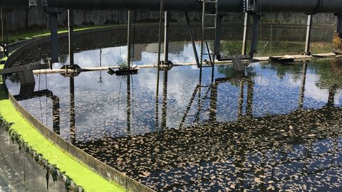 An der Kläranlage