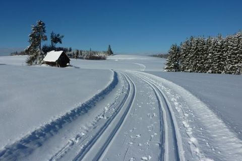 Sportlich aktiv in der Winterlandschaft