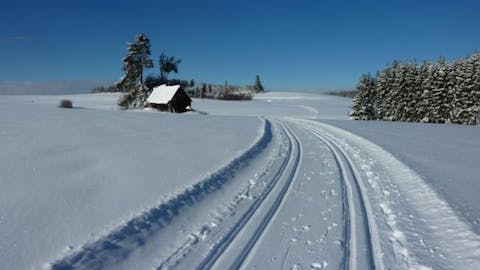 Sportlich aktiv in der Winterlandschaft