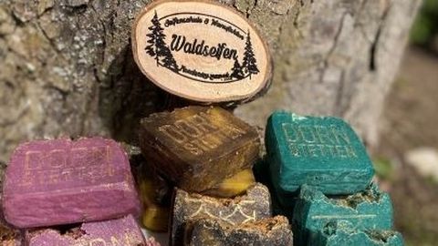 Waldseifen