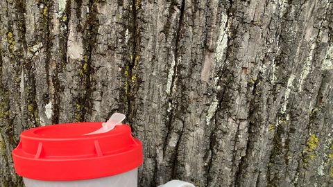Dornstetter Coffee-to-go Becher