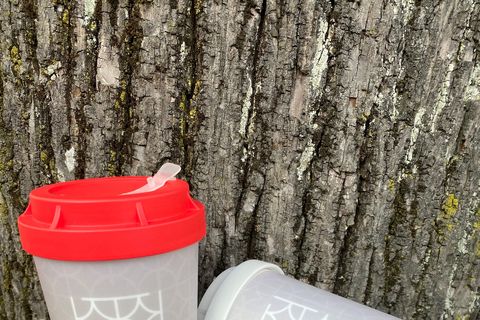 Dornstetter Coffee-to-go Becher