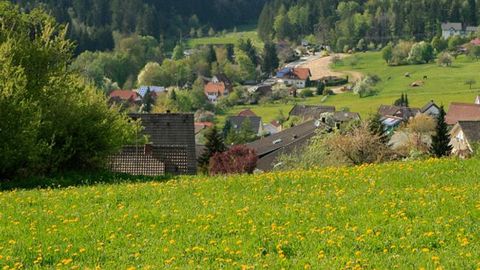 Schwarzwald, soweit das Auge reicht