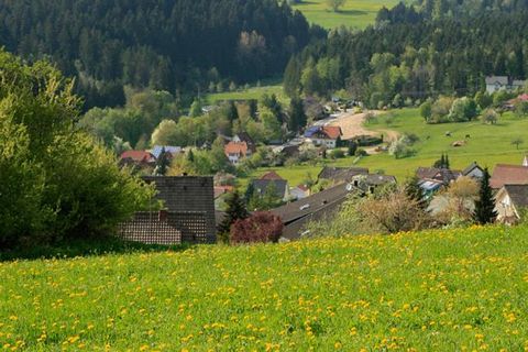 Schwarzwald, soweit das Auge reicht