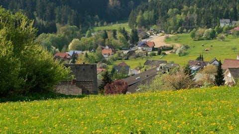 Schwarzwald, soweit das Auge reicht