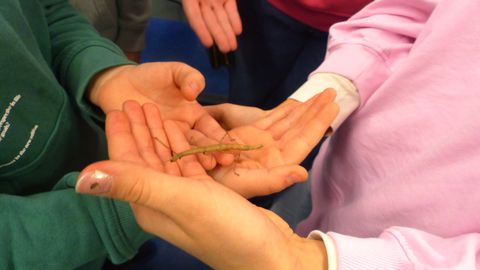 Schule zum Anfassen am Schnuppertag 