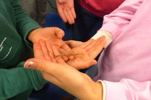 Schule zum Anfassen am Schnuppertag 