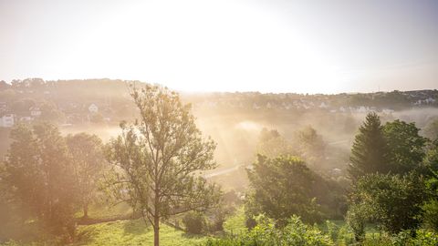 Die Stadt Dornstetten ist umgeben von grüner Natur. Damit dieser schöne Lebensraum auch für die Zukunft erhalten bleibt, lädt die Stadt jetzt zum Projekt "Klimaschutz in Dornstetten – gemeinsam mit den Bürgerinnen und Bürgern" ein.