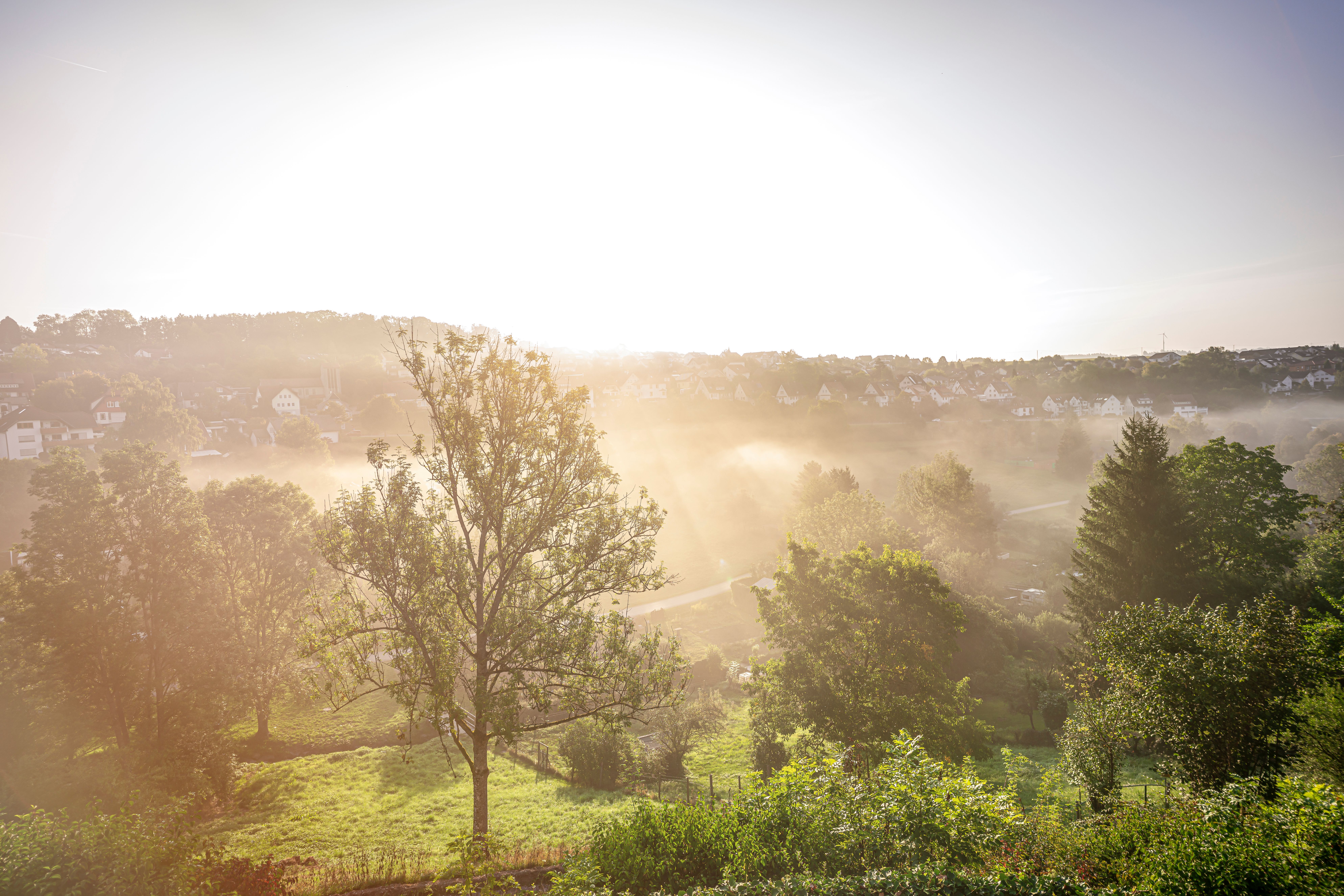 Die Stadt Dornstetten ist umgeben von grüner Natur. Damit dieser schöne Lebensraum auch für die Zukunft erhalten bleibt, lädt die Stadt jetzt zum Projekt "Klimaschutz in Dornstetten – gemeinsam mit den Bürgerinnen und Bürgern" ein.