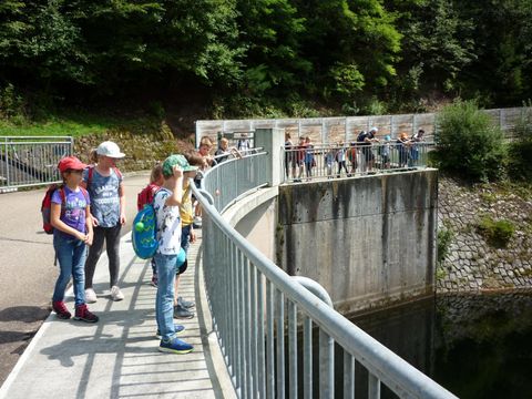 Unser Sommerferienprogramm