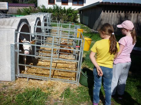 Unser Sommerferienprogramm