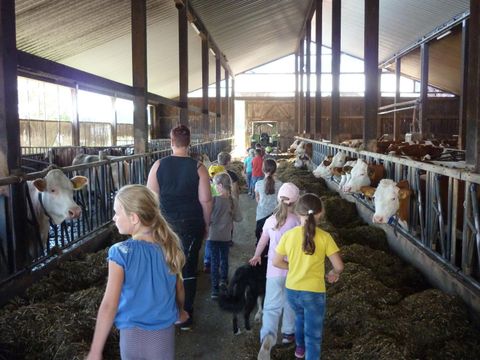 Unser Sommerferienprogramm