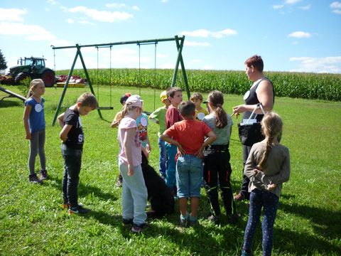 Unser Sommerferienprogramm