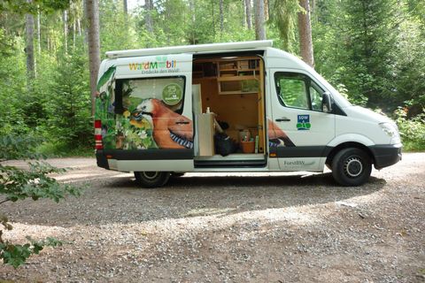 Unser Sommerferienprogramm
