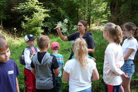 Unser Sommerferienprogramm
