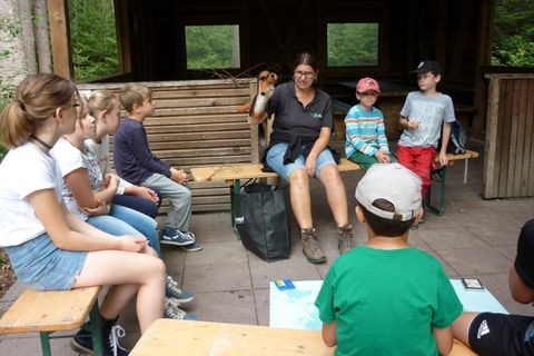 Unser Sommerferienprogramm