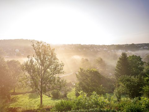 Natur rund um Dornstetten