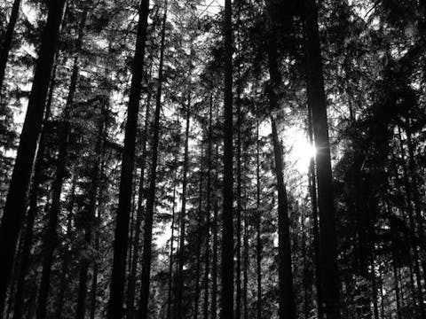 Dunketlzeit Wanderung